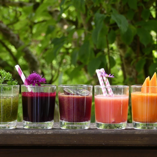 Probiotic Digestive Support